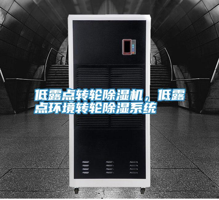 低露點(diǎn)轉(zhuǎn)輪除濕機(jī)，低露點(diǎn)環(huán)境轉(zhuǎn)輪除濕系統(tǒng)