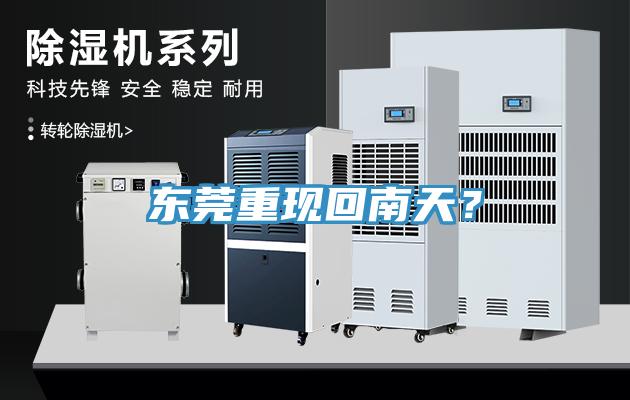 東莞重現(xiàn)回南天？