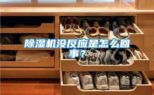 除濕機(jī)沒(méi)反應(yīng)是怎么回事？