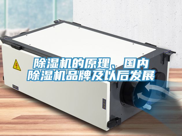 除濕機(jī)的原理、國(guó)內(nèi)除濕機(jī)品牌及以后發(fā)展