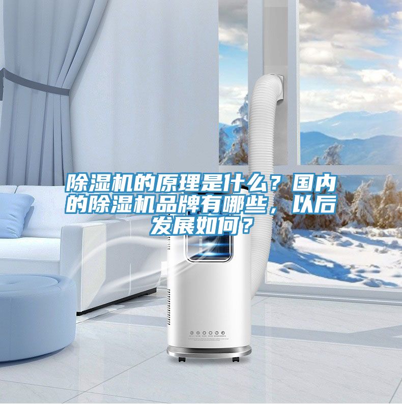 除濕機(jī)的原理是什么？國(guó)內(nèi)的除濕機(jī)品牌有哪些，以后發(fā)展如何？