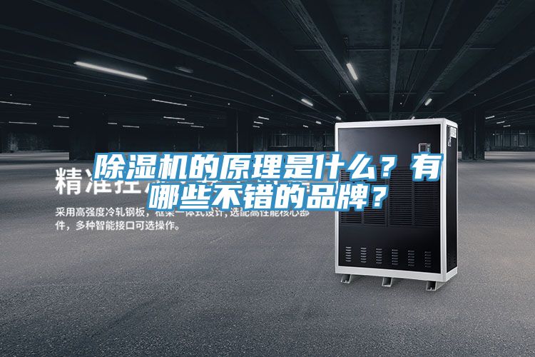 除濕機(jī)的原理是什么？有哪些不錯(cuò)的品牌？