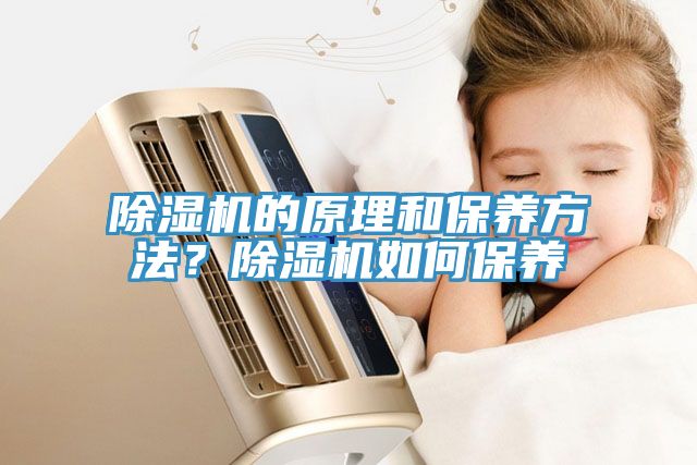 除濕機(jī)的原理和保養(yǎng)方法？除濕機(jī)如何保養(yǎng)