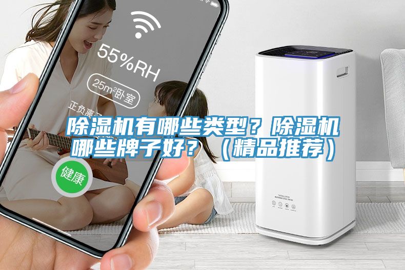 除濕機(jī)有哪些類型？除濕機(jī)哪些牌子好？（精品推薦）
