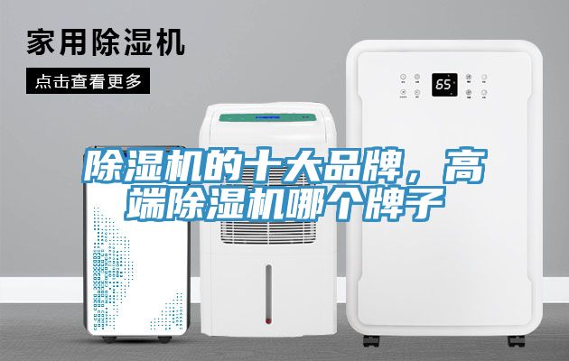 除濕機(jī)的十大品牌，高端除濕機(jī)哪個(gè)牌子