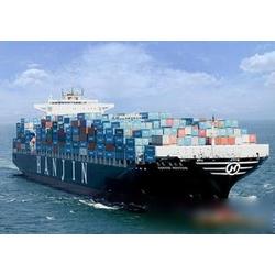 全球供應鏈的堅實橋梁 國際海運貨代行業深度解析