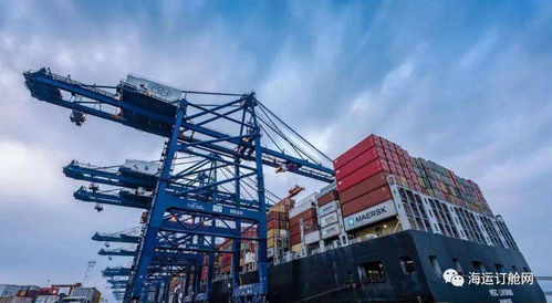 外貿貨代企業，是時候和伊朗業務說再見了